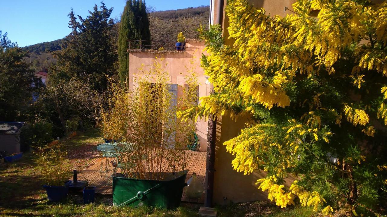 ホテルLe Chemin De Lauzieres Octon エクステリア 写真